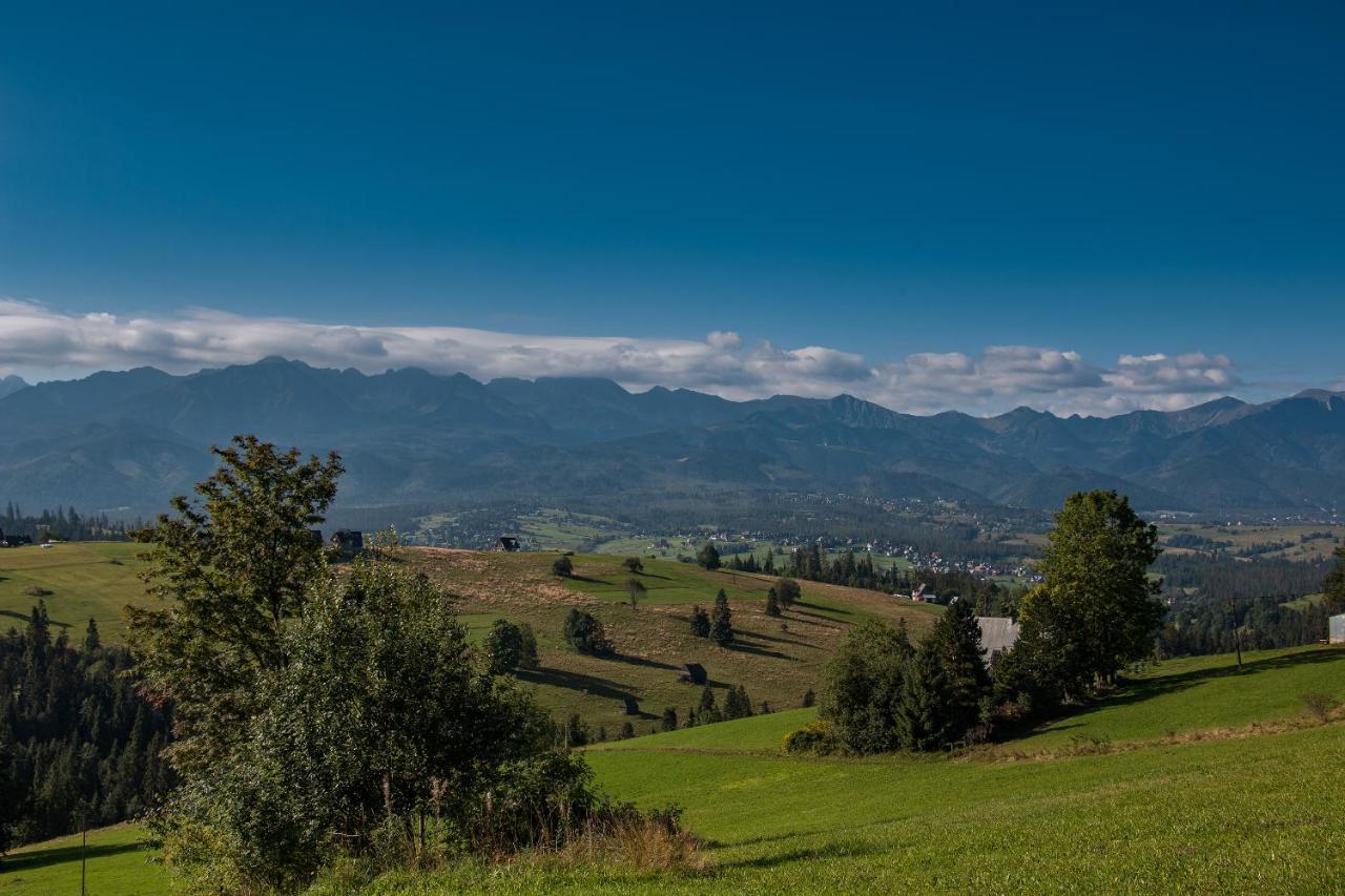 Domki u Skowyrów Gliczarów Exterior foto